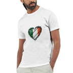 1e6f72c2-322c-454f-8f7a-9d7c57c7fd64